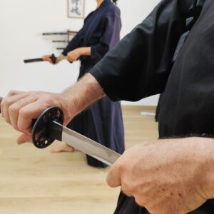 IAIDO